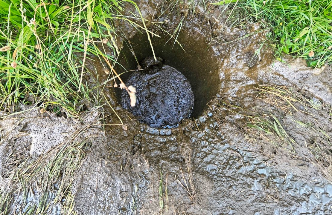 Mit Gülle verschmutzter Meteorwasserschacht.