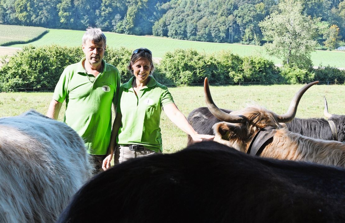 Günter und Monika Hartmann bei ihren Schottischen Hochlandrindern.