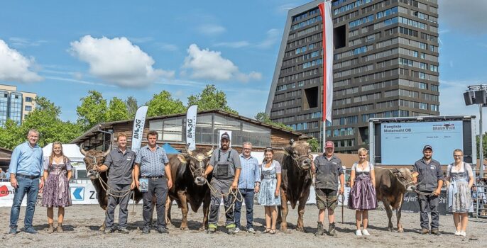 Siegreiche Kraftpakete: Alle vier Mister ZM Zug