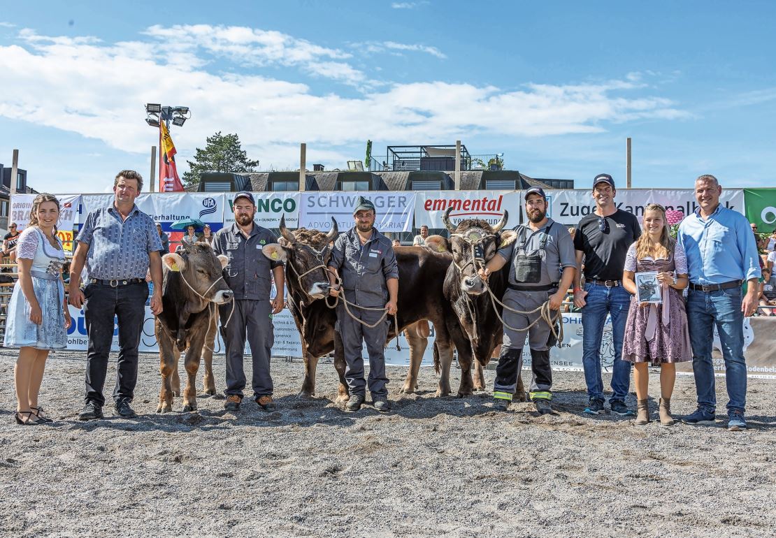 Martin Schrepfer aus dem zürcherischen Wald gewinnt den Betriebscup am Zuger Stierenmarkt. Bilder: Braunvieh Schweiz