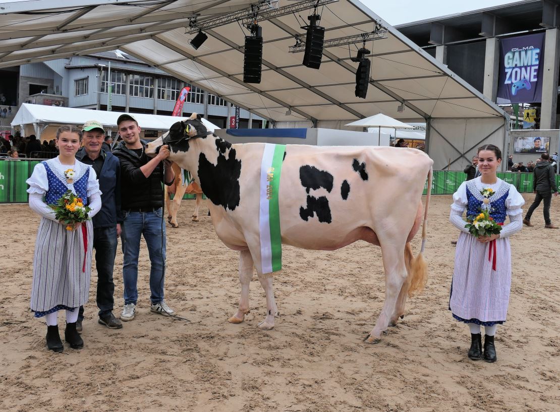 Die Miss Olma Holstein von Linus Ziegler beeindruckte mit ihrem sensationellen Euter und Fundament. Bild: Alexandra Stückelberger, «BauernZeitung»