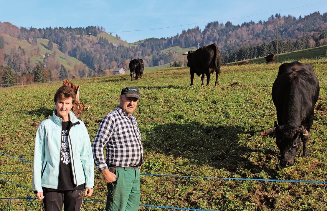 Ursi und Ueli Hüppi züchten seit 17 Jahren Eringer.