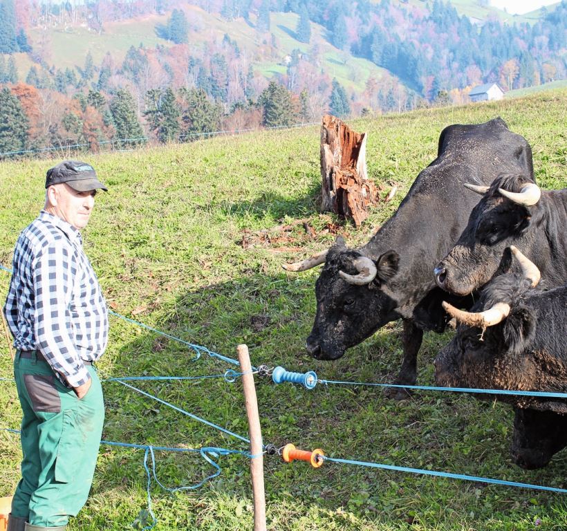 Das Gedränge in der Nähe von Ueli Hüppi kurz vor dem Kampf.