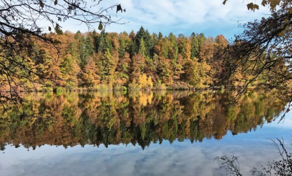 Mit dem Blattfall der Buche legte sich die Vegetation Mitte November zur Winterruhe. Im Bild der Gübsensee.