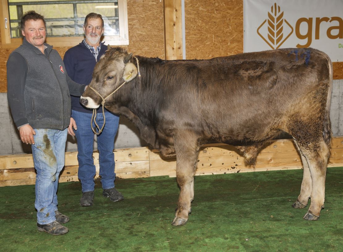 Mister ZM Sargans wurde Stier Anker von Urs Reichmuth.